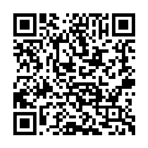 本来雷天还准备了一些天阶上品的灵药作为礼物二维码生成