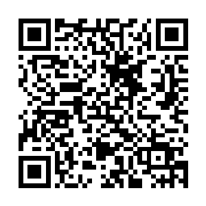 本王本来还想着是不是该想想法子撮合他们两人一下呢二维码生成