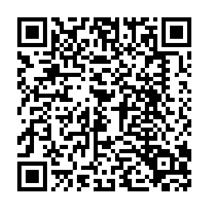 本质上就已经无限接近了宇宙中早已演化了不知多少岁月的灵武之修二维码生成