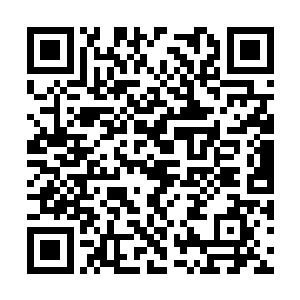 本身便无一不是在国内出类拔粹的各类的精英一族二维码生成