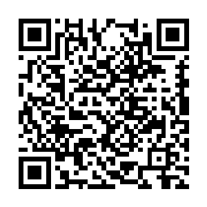 朱荣强似调侃似表示不满地呵呵笑着说了杨晨两句二维码生成