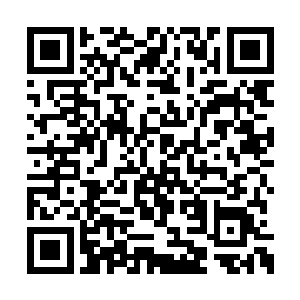 机场几乎一天二十四小时都是这样一副繁荣景象二维码生成