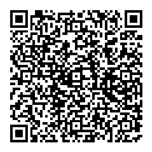 机场里的警察看到这阵容 几乎以为是某个国家的政要來了 可是他们又沒有接到相关的通知 所以所有人都十分的疑惑二维码生成