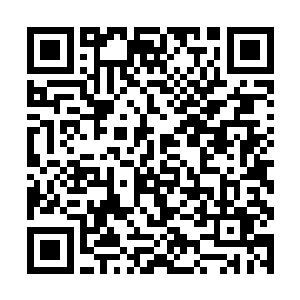 杀掉了自以为是林可染男人实际上是她父亲的林占然二维码生成