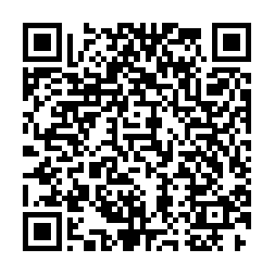 李不二不知道朗青林他们是怎么就可以从土壤颜色看去下面有没有墓的二维码生成
