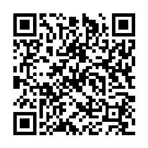 李大可没有上来就教导他孙子刘谱招式武功之类的二维码生成