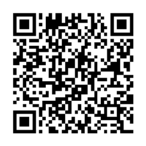 李大可都觉得自己这双腿的力量都要比一般人强很多二维码生成