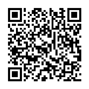 李大师也不可能冒着被血毒凤凰撞碎金光罩的危险二维码生成