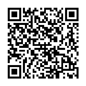 李奇原以为像高衙内这种从小就开始流连花丛的公子哥二维码生成