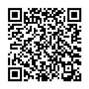 李奇的一品系列无疑又成了京城百姓津津乐道的话题二维码生成