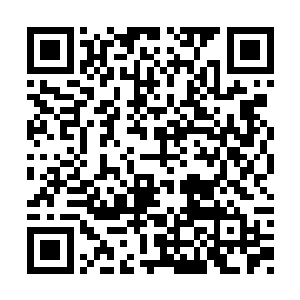 李师姐散播些十方大海几大诸侯要称王的消息吧二维码生成