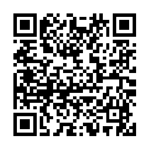 李廷章对程序的攻讦已经让曹刚和张存厚有些手忙脚乱二维码生成