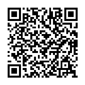 李思谌让人移栽了一株石榴树在他们的新房外头二维码生成
