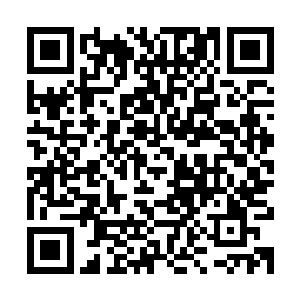 李思辰将已经到了嘴边让林暮雪重新取名字的的话又给咽了回去二维码生成