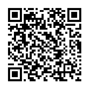 李珞铭他们完全不知道还有集齐十八位大妖王的武器印记只说二维码生成