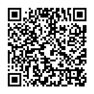 李纯风便和其余很多人一样停止了对神识的修炼反而提纯起了元力二维码生成