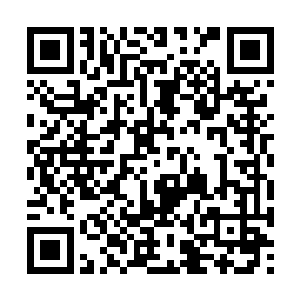 李耀现在问他一些需要极强逻辑性才能回答的问题二维码生成
