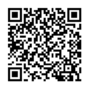 李莳瑜到现在还没办法如齐隆那样叫凌兰为老大二维码生成