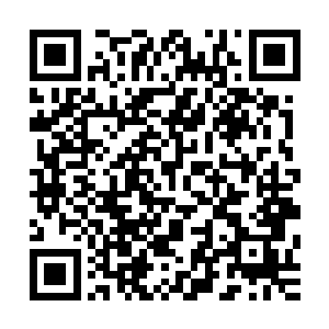 李金方最后在距离哨兵只有不到十米的地方停了下来一动不动二维码生成