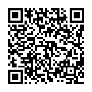 杜克专门让动作指导团队结合亚历桑德拉身体柔软纤细的特点二维码生成