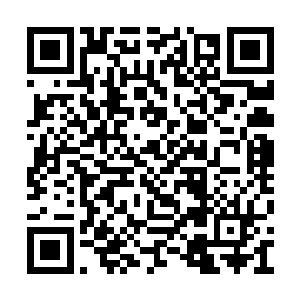 杜克为在新西兰忙碌近一年的工作人员放了长假二维码生成