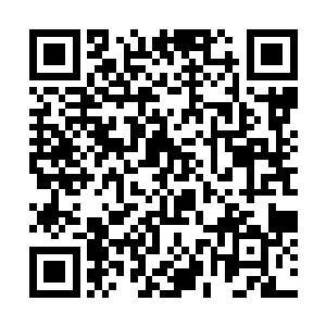 杜克当然不想看到有新的势力跳进来分享他们的蛋糕二维码生成