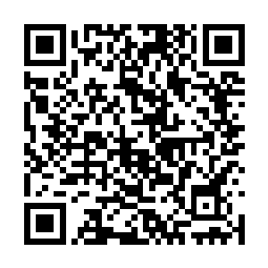 杜克的剧本可以说很大程度上已经脱离了这次事件二维码生成