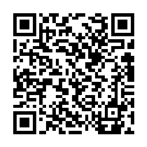 杜心儿现在看起来除了昏迷未醒外其它都十分正常二维码生成