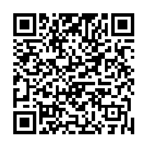 来东通市游玩无缘无故竟然还敢把市长侄子的左臂打骨折二维码生成