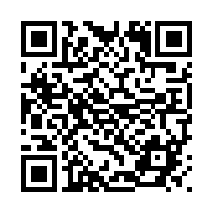 来人竟然各个都是仙君以上的修为二维码生成