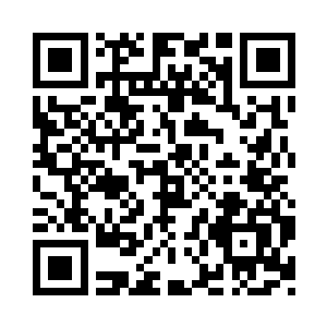 来怜月阁的主要目的也不是为了当护卫二维码生成
