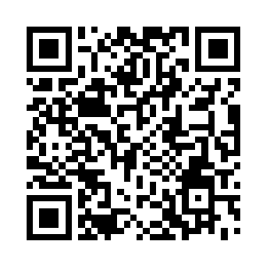 来的时候当家人已经做好了下海替王府采珠二维码生成