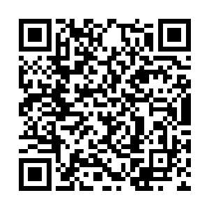 杨公明正盯着林若溪买来的一副名画家的油画瞧呢二维码生成