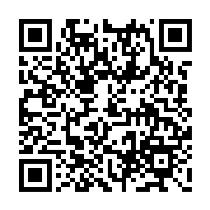 杨小菲要想在台里更进一步发展或者说转到省台二维码生成