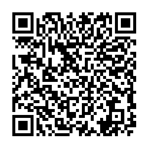 杨开前些日子才跟一个去青阳神殿参加册封大典的帝尊境强者换来的宝贝二维码生成