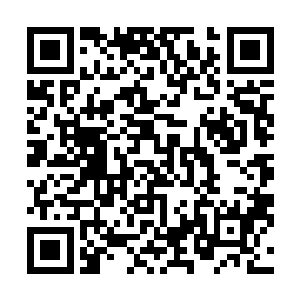 杨开抬头看了一眼在场中除了花雨露之外的另外一个女子二维码生成