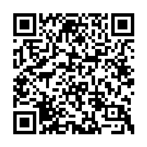 杨开这个名字俨然已经成了人族的一道中流砥柱二维码生成