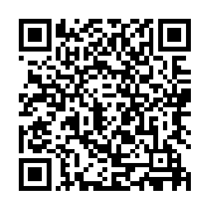 杨戬在进入到养心峰的范围之后神识就直接散发了开来二维码生成