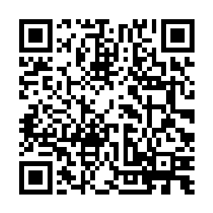 杨戬布置的几个大型阵法都是自己推演和创造出来的阵法二维码生成