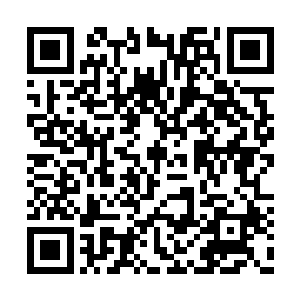 杨戬当然知道任鸿和任召没有借自己之威的意思二维码生成