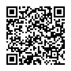 杨戬直接将自己前世今生积累的杀气毫无保留的释放了出来二维码生成