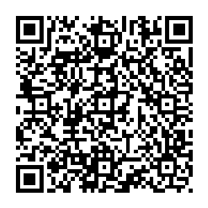 杨晨也一脚油门驶出了娄山市的地界……稽查组怕是不会再来查看周通天的死因了二维码生成