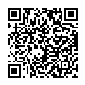 杨晨甚至不得不将本命算器天算再度和星图进入了协作状态二维码生成