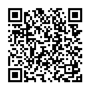 杨晨用的说话方式是玄学界修士们大多都能轻易掌握的二维码生成