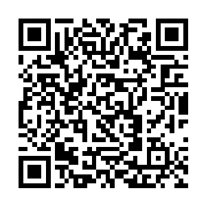 杨晨见到杨戬的样子之后脸上的表情也是无比的激动二维码生成