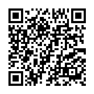 杨洛绝对不是一个能向自己战友开枪的冷血动物二维码生成
