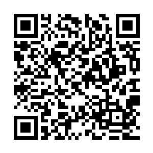 杨洛靠在汽车轮胎短短几分钟五个面包就进了肚子二维码生成