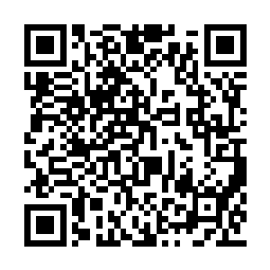 杨眉当然不会去关注佘承志和戚美丽的离婚官司二维码生成