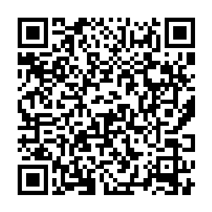 杨辰将自己体内的混沌已经和自己僵持不下的状况详细描述了一遍二维码生成