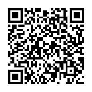 杨辰的一只手很快不太老实地攀上了林若溪的一座高峰二维码生成